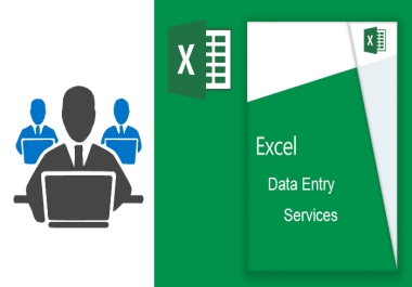 I will data entry,  copy paste,  web scraping and excel data entry work for you