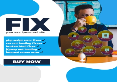 I will fix issues from your wordpress website