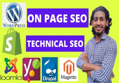 I will do on page SEO and technical optimization service of WordPress