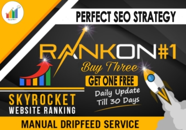 I will do 30 days drip feed monthly SEO link building service