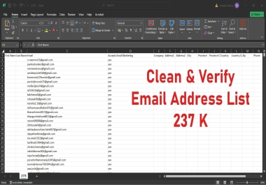 I will Provide you 237k+ Verified Email List Database for Email Marketing