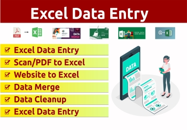 I do excel data entry,  web research,  data entry,  copy paste,  virtual assistant
