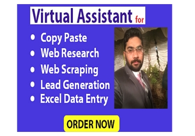 I will be your virtual assistant for excel data entry,  data scraping and web research