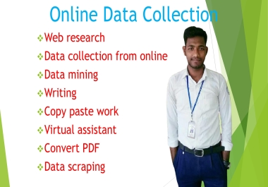 I will do excel data entry,  web research,  data mining,  typing