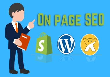 I will do monthly on-page SEO & technical SEO for your website ranking