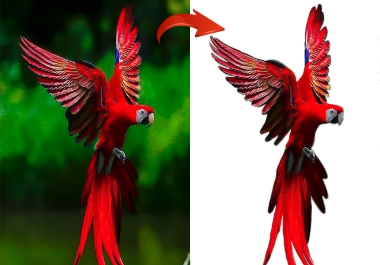 I will remove background photo and enhance in 2 hours