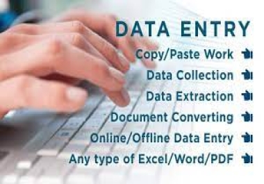 I can Offer best, Data entry service