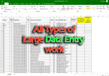 I will do excel data entry jobs within 24 hours