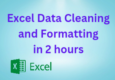 I will do excel data cleaning and formatting in 2 hours