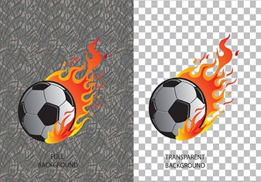 cut out images or Background Removal professionally