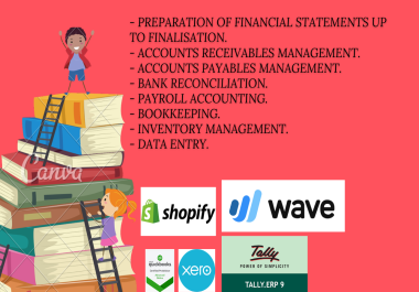 I will do financial accounting services