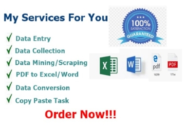 I will do perfect data entry,  PDF conversion,  Copy paste work,  web research