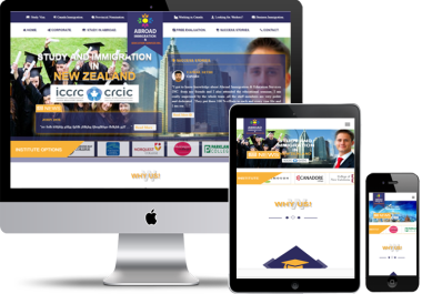 I will do professional wordpress website design or landing page