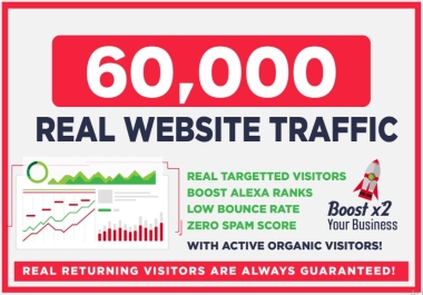 30 days organic targeted web traffic real visitors