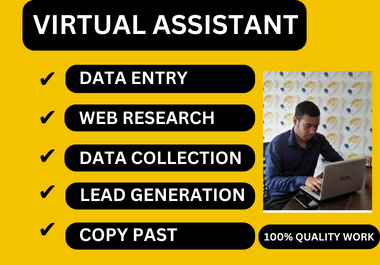 Professional Virtual Assistant For Data Entry