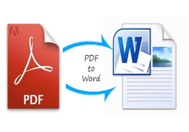 I will convert pdf convert to document