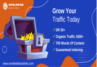 DR 20+ Niche Relevant Backlink Min 1000+ Traffic