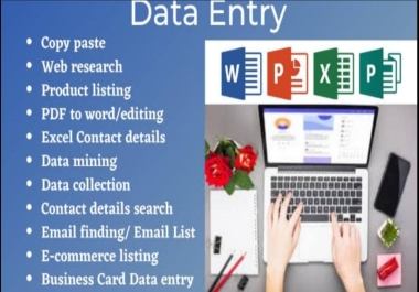 I will data entry,  data collection,  copy paste,  typing work