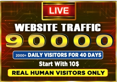 I Will Drive 90,000 Google Search Organic USA Targeted Web Traffic for 40 days