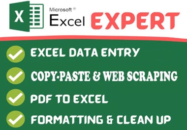 I will do excel data entry,  copy paste web scraping and data cleaning