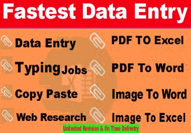 I will do fastest data entry,  copy paste, excel data entry,  convert pdf file & any typing work