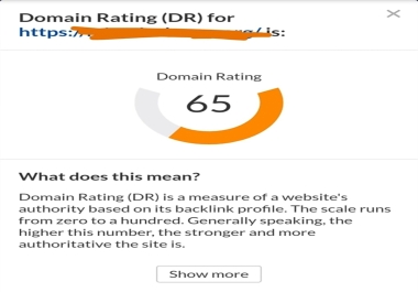 I will Increase your website DR DOMAIN RATING 50+