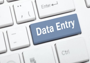 I can do data entry work in short time as well as possible.