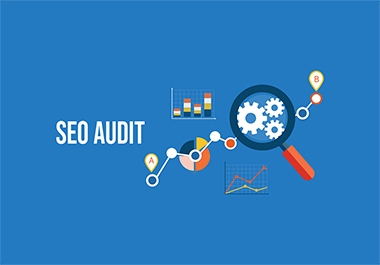 Professional SEO Audit And Strategy To Get You Higher Results