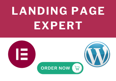 landing page design expert with elementor