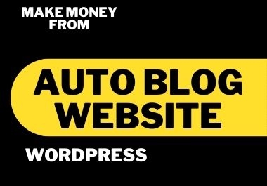 I will make a unique auto blogging website