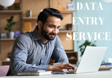 I will be your virtual assistance excel data entry expert