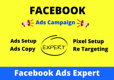 I will setup your facebook ads campaigns