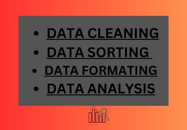 i will clean sort and format your excel data
