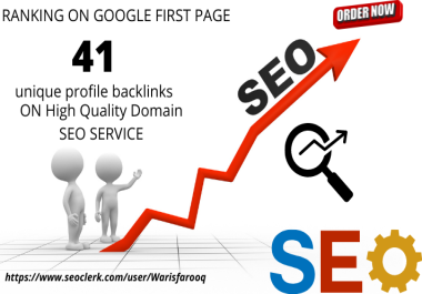 I will 41 unique profile backlink on high quality domain service
