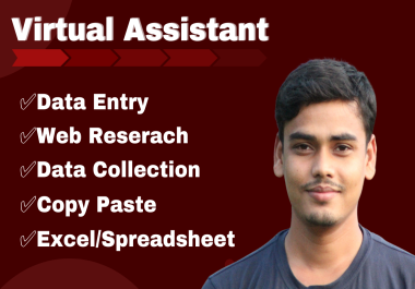 I will Do web research data entry and lead generation