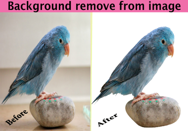 Provide background remove from images.