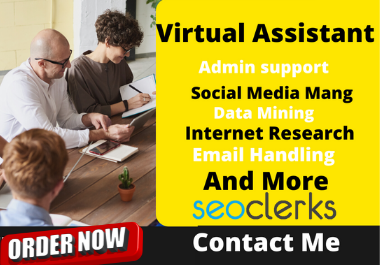 I will be your excellent and professional virtual assistant
