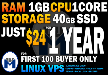 VPS LINUX 1GB ram 1 core 40Gb SSD for 1 Year