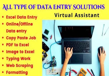 I can do All type of Data entry in English and Hindi