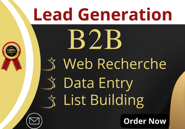 I will provide 100 b2b lead generation for any industry and highly targeted list building