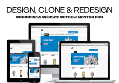I will create responsive wordpress website design by elementor pro