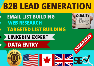 I will provide b2b lead generation and data entry for your business targeted list building