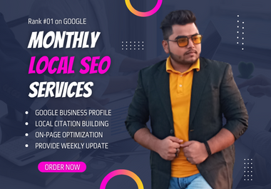 I will Provide Monthly Local SEO Service for Google Local Dominator