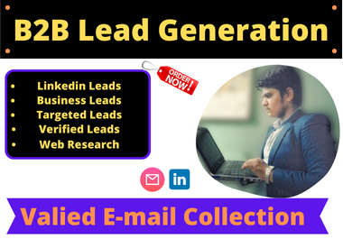 I Will Provide You Targeted B2B Lead Generation