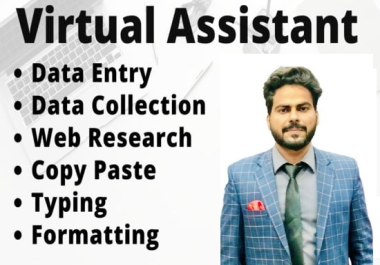 I will do data entry,  excel data entry,  web research,  copy paste