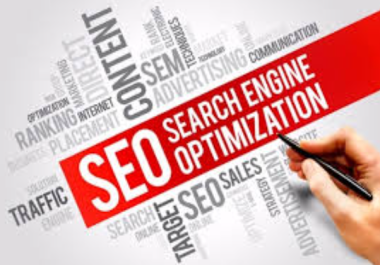 I will do a full technical SEO audit of your website