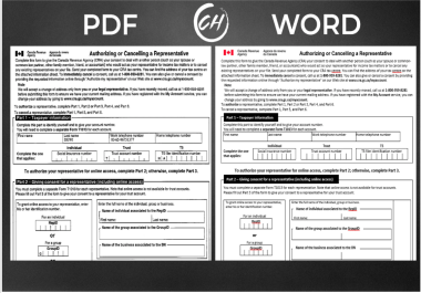 II will convert PDF to word,  pdf to excel,  copy paste,  data entry