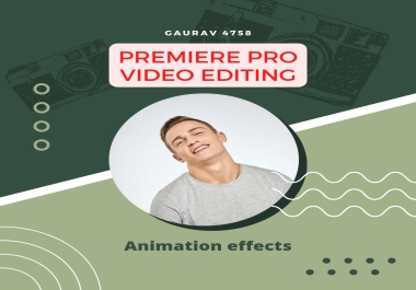 I am A professional video editor premiere Pro