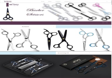 Develop an attractive Website with UI/UX for you