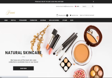 I will design professional Shopify website or Shopify Dropshipping website